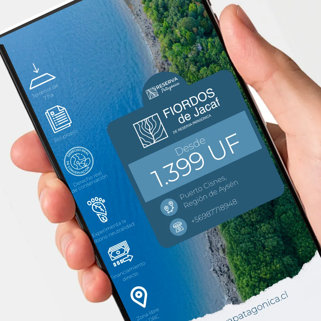 Proyecto FansArt Hey Arnold